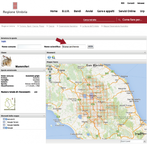  Per visualizzare la mappa dell′osservatorio faunistico clicca sulla foto e digita il nome della specie ″<strong>Sciurus carolinensis</strong>″ come indicato dalla freccia: