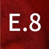 e8